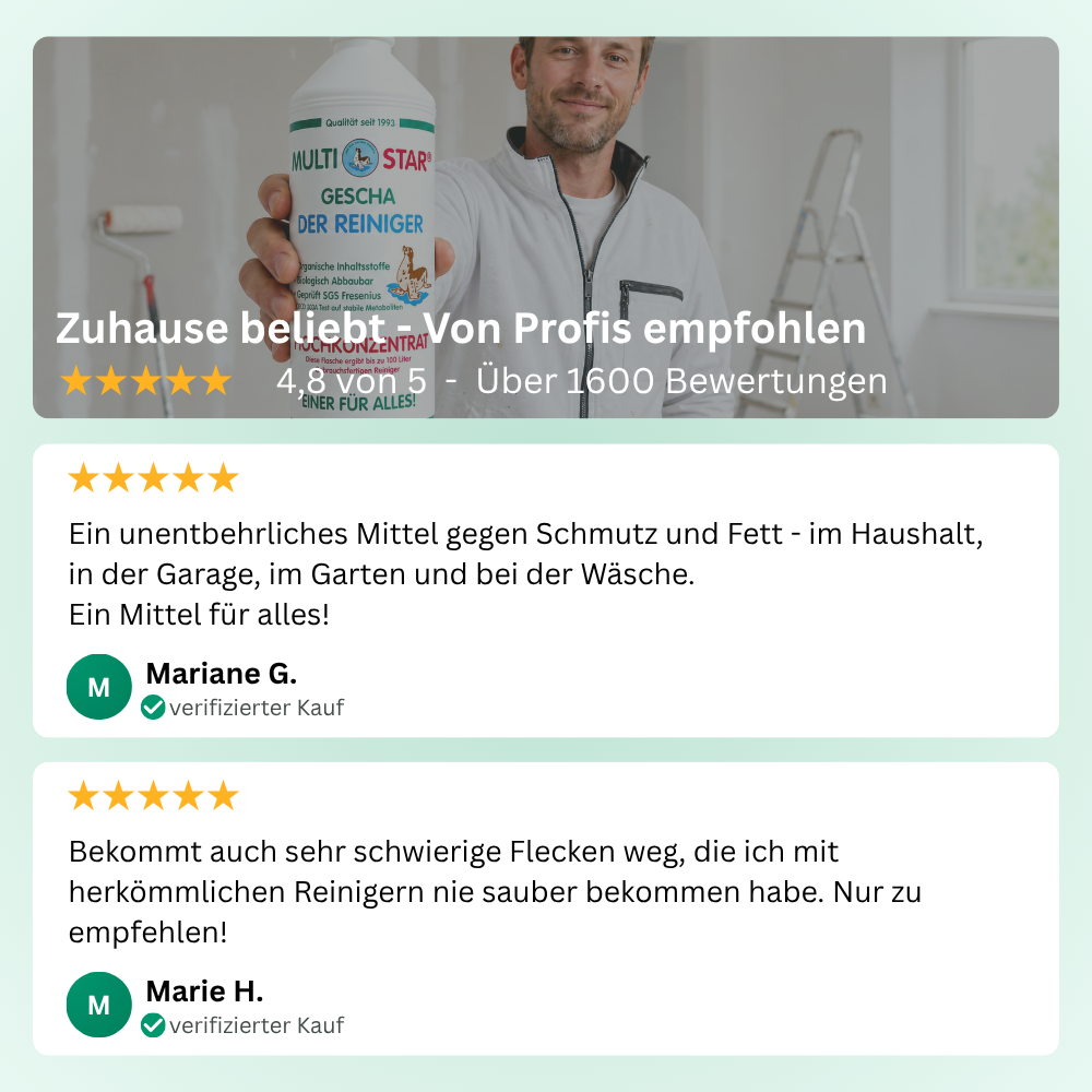 Multi-Star GESCHA Allzweckreiniger Konzentrat (1L)